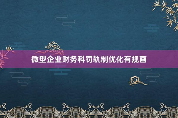 微型企业财务科罚轨制优化有规画